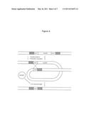 CONSTRUCTION OF GENETICALLY TRACTABLE INDUSTRIAL YEAST STRAINS diagram and image