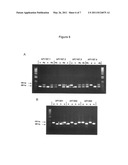 CONSTRUCTION OF GENETICALLY TRACTABLE INDUSTRIAL YEAST STRAINS diagram and image