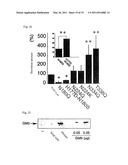 MUTANT GLYCOPROTEIN RESISTANT TO MODIFICATION WITH ASPARAGINE-LINKED SUGAR CHAIN diagram and image