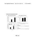 Hepatitis C Virus Culture System diagram and image