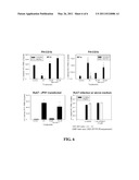 Hepatitis C Virus Culture System diagram and image