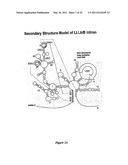 DNA MOLECULES AND METHODS diagram and image