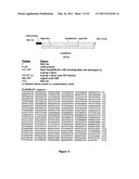 DNA MOLECULES AND METHODS diagram and image