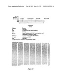 DNA MOLECULES AND METHODS diagram and image