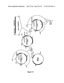 DNA MOLECULES AND METHODS diagram and image