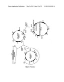 DNA MOLECULES AND METHODS diagram and image