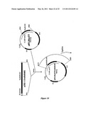 DNA MOLECULES AND METHODS diagram and image