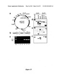 DNA MOLECULES AND METHODS diagram and image