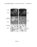 DNA MOLECULES AND METHODS diagram and image