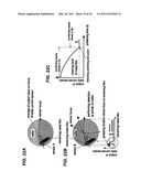 EDDY CURRENT SENSOR AND POLISHING METHOD AND APPARATUS diagram and image