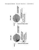 EDDY CURRENT SENSOR AND POLISHING METHOD AND APPARATUS diagram and image