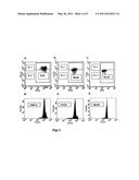 High Throughput Method for Detecting Apoptosis of Embryonic Stages of Metazoan Helminthic Parasites diagram and image