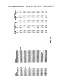 Insulin and IGF-1 Receptor Agonists and Antagonists diagram and image