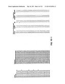 Insulin and IGF-1 Receptor Agonists and Antagonists diagram and image