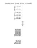 Insulin and IGF-1 Receptor Agonists and Antagonists diagram and image