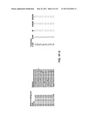 Insulin and IGF-1 Receptor Agonists and Antagonists diagram and image