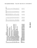 Insulin and IGF-1 Receptor Agonists and Antagonists diagram and image