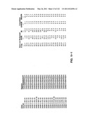 Insulin and IGF-1 Receptor Agonists and Antagonists diagram and image