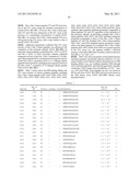 Insulin and IGF-1 Receptor Agonists and Antagonists diagram and image