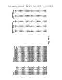 Insulin and IGF-1 Receptor Agonists and Antagonists diagram and image