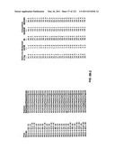 Insulin and IGF-1 Receptor Agonists and Antagonists diagram and image