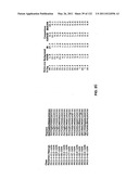 Insulin and IGF-1 Receptor Agonists and Antagonists diagram and image