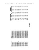 Insulin and IGF-1 Receptor Agonists and Antagonists diagram and image