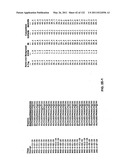 Insulin and IGF-1 Receptor Agonists and Antagonists diagram and image