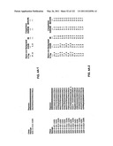 Insulin and IGF-1 Receptor Agonists and Antagonists diagram and image