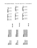 Insulin and IGF-1 Receptor Agonists and Antagonists diagram and image