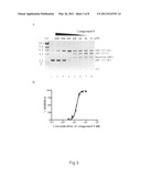 MOLECULES COMPRISING A BIS(HETEROARYL)MALEIMIDE BACKBONE, AND USE THEREOF IN THE INHIBITION OF DDE/DDD ENZYMES diagram and image