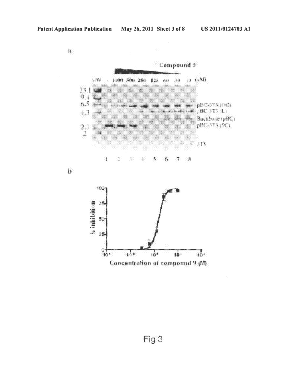 MOLECULES COMPRISING A BIS(HETEROARYL)MALEIMIDE BACKBONE, AND USE THEREOF IN THE INHIBITION OF DDE/DDD ENZYMES - diagram, schematic, and image 04