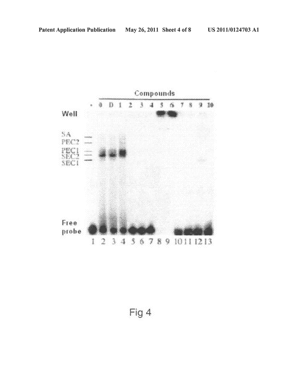 MOLECULES COMPRISING A BIS(HETEROARYL)MALEIMIDE BACKBONE, AND USE THEREOF IN THE INHIBITION OF DDE/DDD ENZYMES - diagram, schematic, and image 05