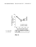 COMPOSITIONS AND METHODS FOR INHIBITING EXPRESSION OF Nav1.8 GENE diagram and image