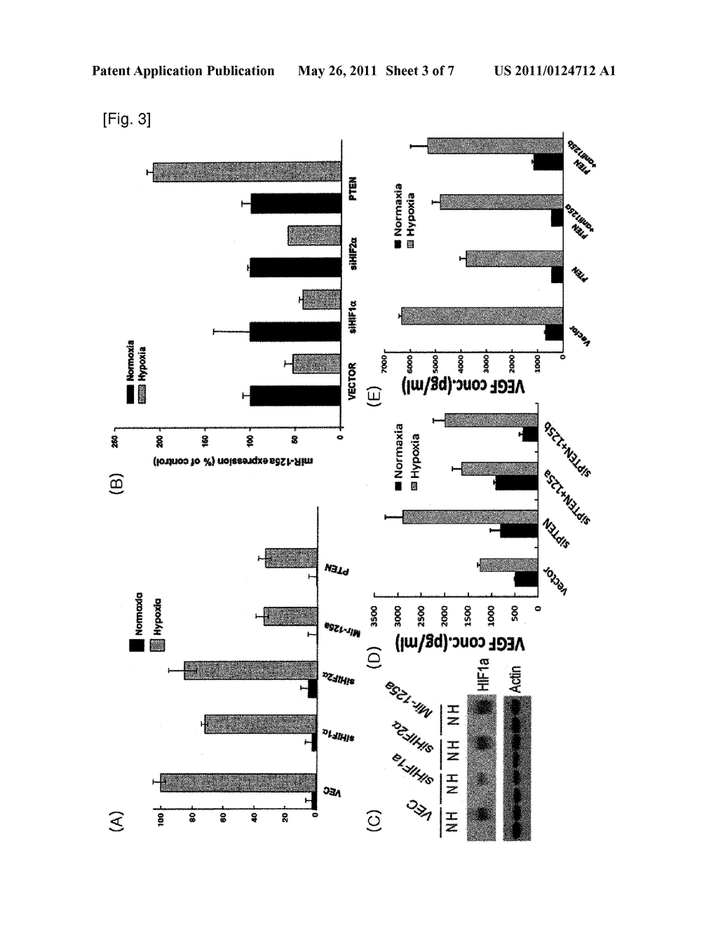 ANTI-CANCER COMPOSITION COMPRISING MICRORNA MOLECULES - diagram, schematic, and image 04