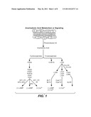 Methods for Bone Treatment by Modulating an Arachidonic Acid Metabolic or Signaling Pathway diagram and image