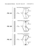 Methods for Bone Treatment by Modulating an Arachidonic Acid Metabolic or Signaling Pathway diagram and image