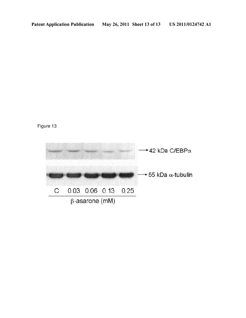 COMPOSITION AND METHOD OF ADIPOSE CELL DIFFERENTIATION INHIBITION - diagram, schematic, and image 14