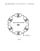 SELF-ASSEMBLED OLEFIN POLYMERIZATION CATALYST diagram and image