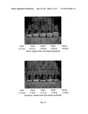 SELF-ASSEMBLED OLEFIN POLYMERIZATION CATALYST diagram and image