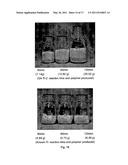 SELF-ASSEMBLED OLEFIN POLYMERIZATION CATALYST diagram and image