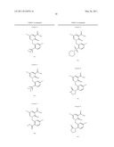 IMINOPYRIDINE DERIVATIVES AND USE THEREOF diagram and image