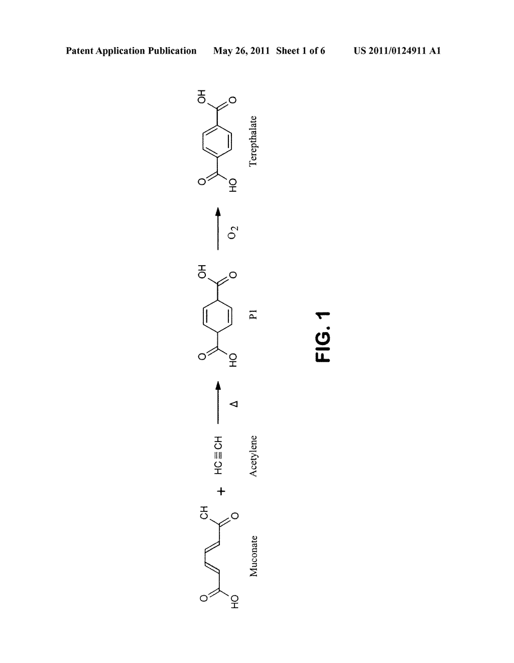 SEMI-SYNTHETIC TEREPHTHALIC ACID VIA MICROORGANISMS THAT PRODUCE MUCONIC ACID - diagram, schematic, and image 02