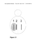 Methods for Measuring Changes in Optical Properties of Wound Tissue and Correlating Near Infrared Absorption (FNIR) and Diffuse Reflectance Spectroscopy Scattering (DRS) With Tissue Neovascularization and Collagen Concentration to Determine Whether Wound is Healing diagram and image