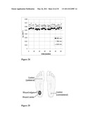 Methods for Measuring Changes in Optical Properties of Wound Tissue and Correlating Near Infrared Absorption (FNIR) and Diffuse Reflectance Spectroscopy Scattering (DRS) With Tissue Neovascularization and Collagen Concentration to Determine Whether Wound is Healing diagram and image