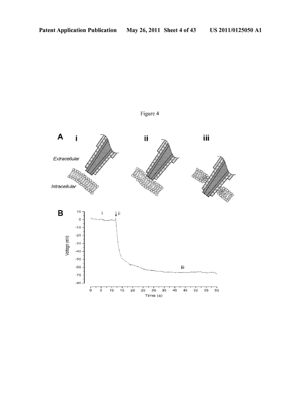 Multiple-Electrode and Metal-Coated Probes - diagram, schematic, and image 05