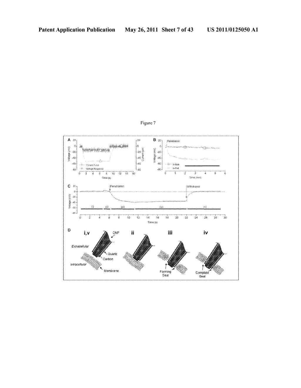 Multiple-Electrode and Metal-Coated Probes - diagram, schematic, and image 08