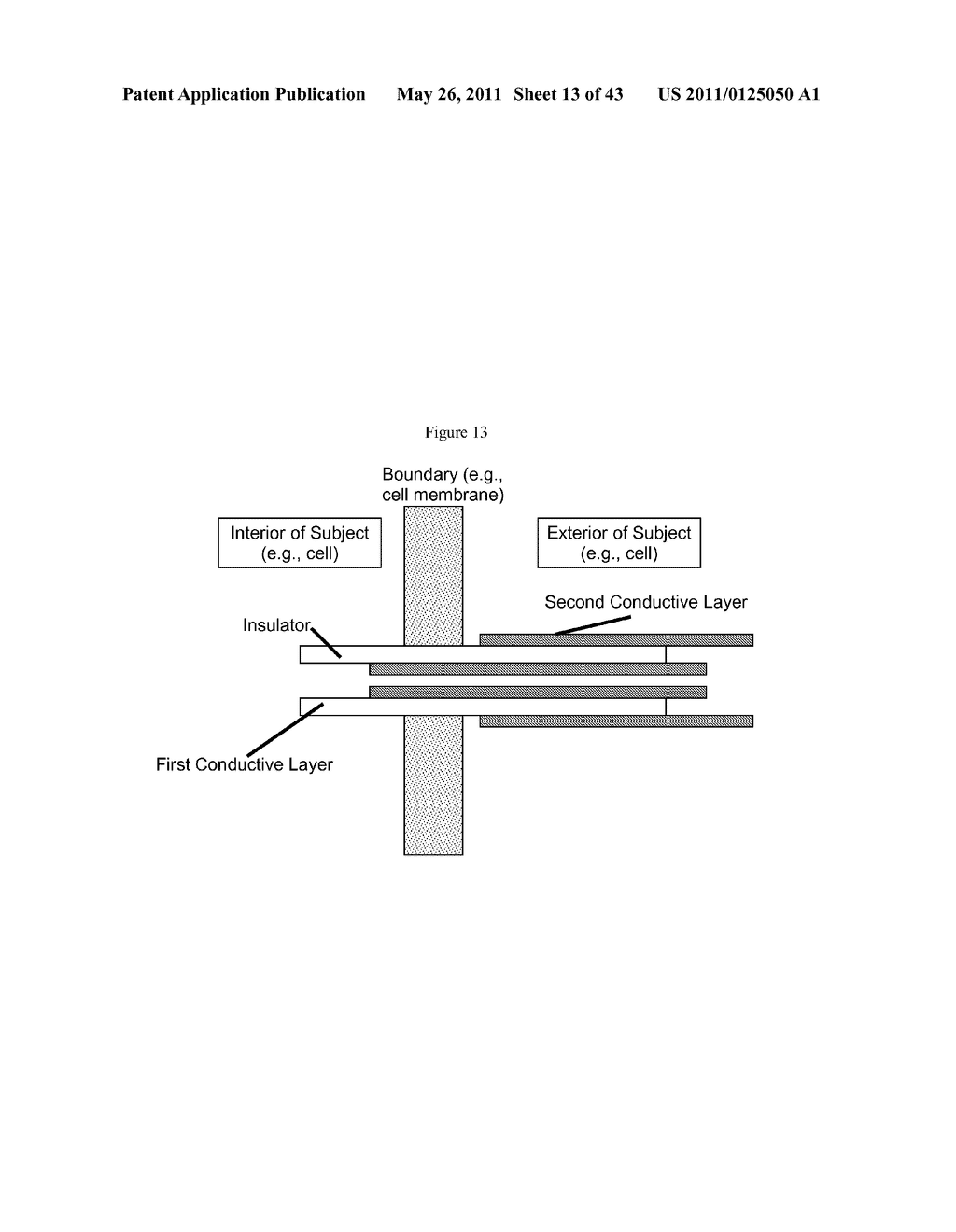 Multiple-Electrode and Metal-Coated Probes - diagram, schematic, and image 14