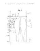 METHOD AND APPARATUS FOR MONITORING ANIMAL CONDITION diagram and image