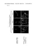 METHOD FOR CONTROL OF ELECTROPORATION APPARATUS diagram and image